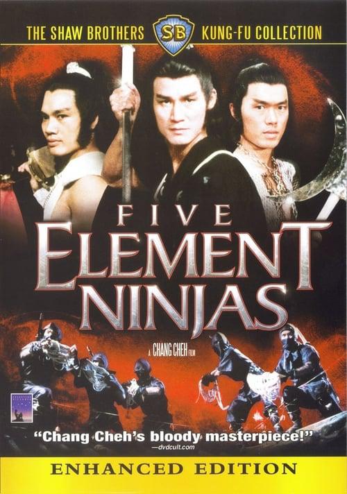 'Ninja of the Five Elements' 