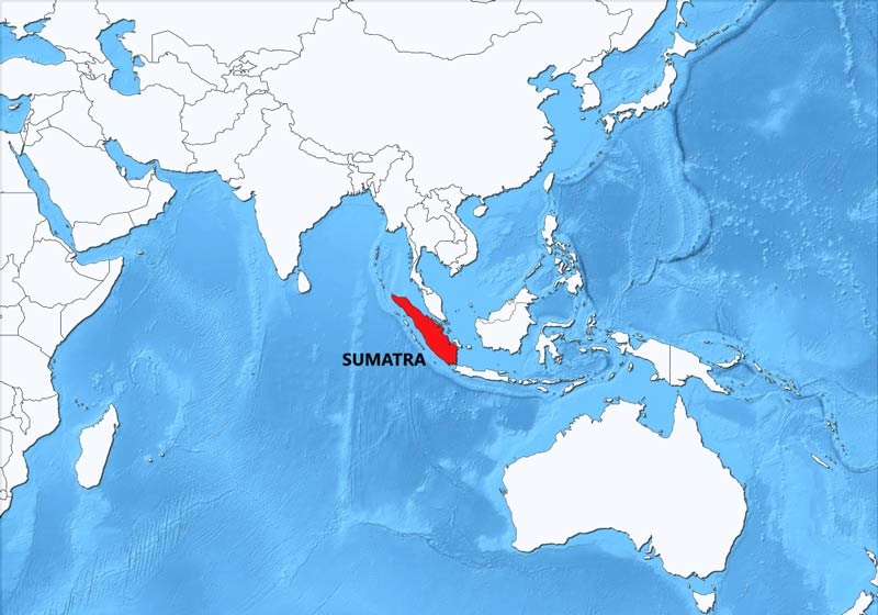 Sumatra 