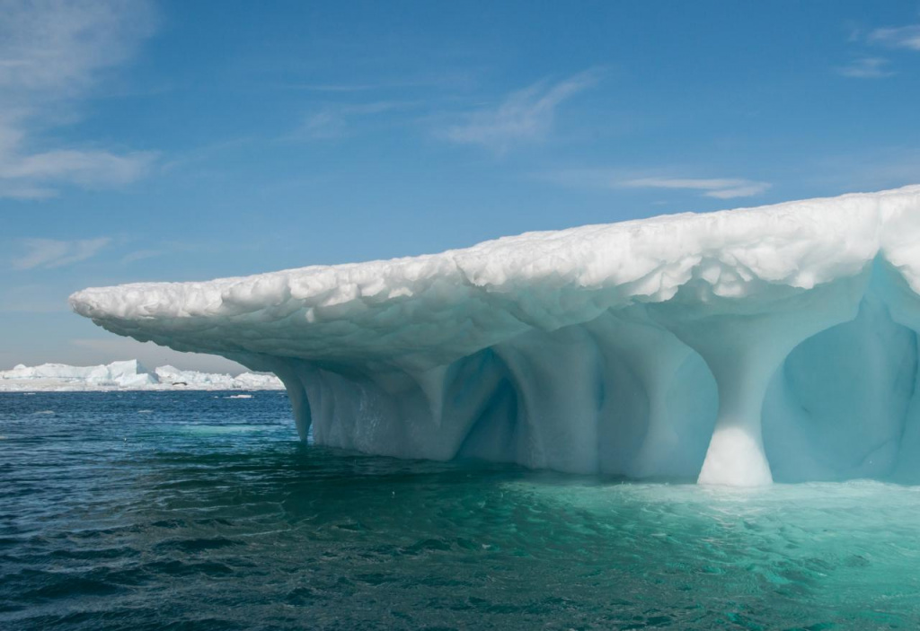 Weddell sea 