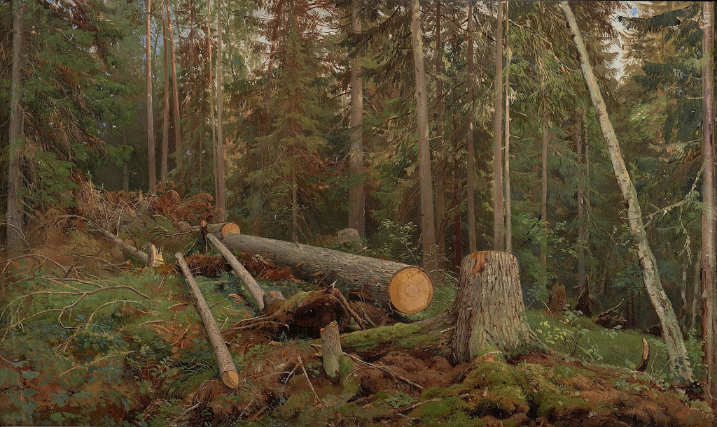 Forest felling 