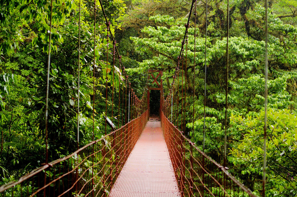 Monteverde National Park 