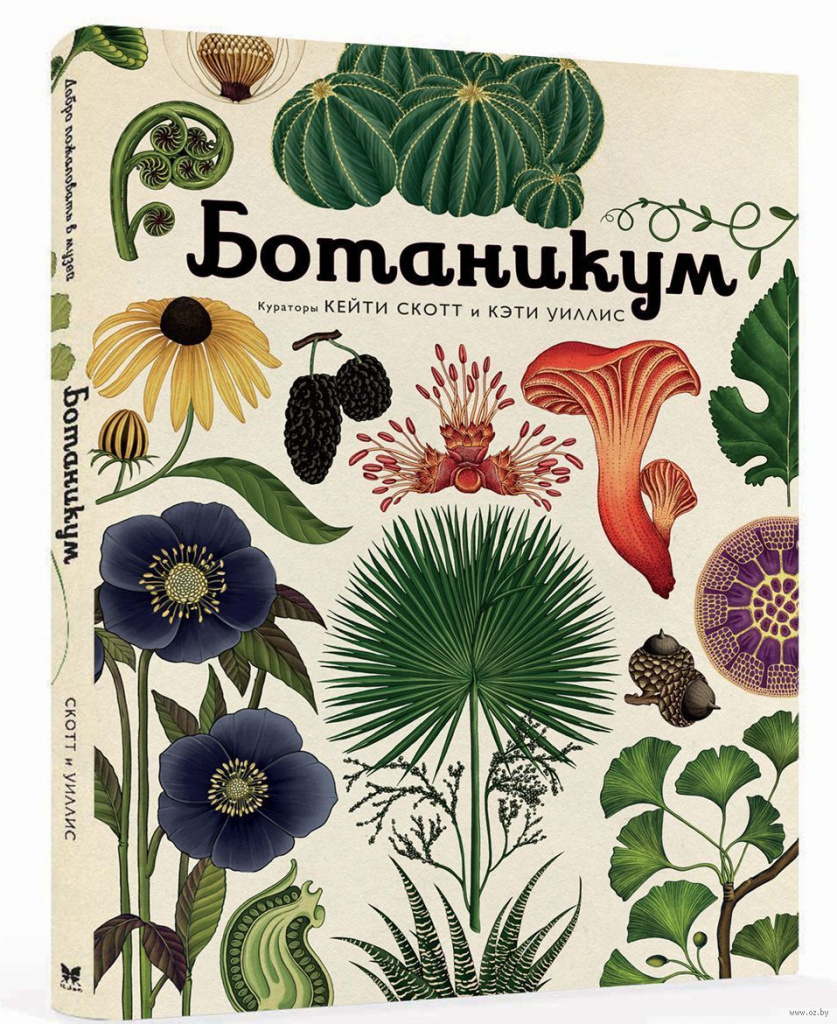 Botanicum (Machaon Publishing House, 2016) 