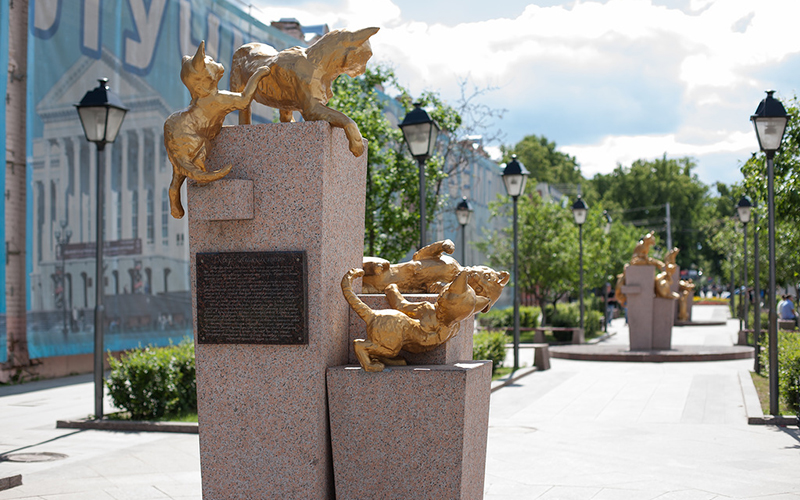 SQUARE OF SIBERIAN CATS 