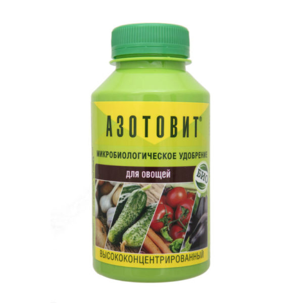Microbiological fertilizer 'Azotovit for vegetables' 