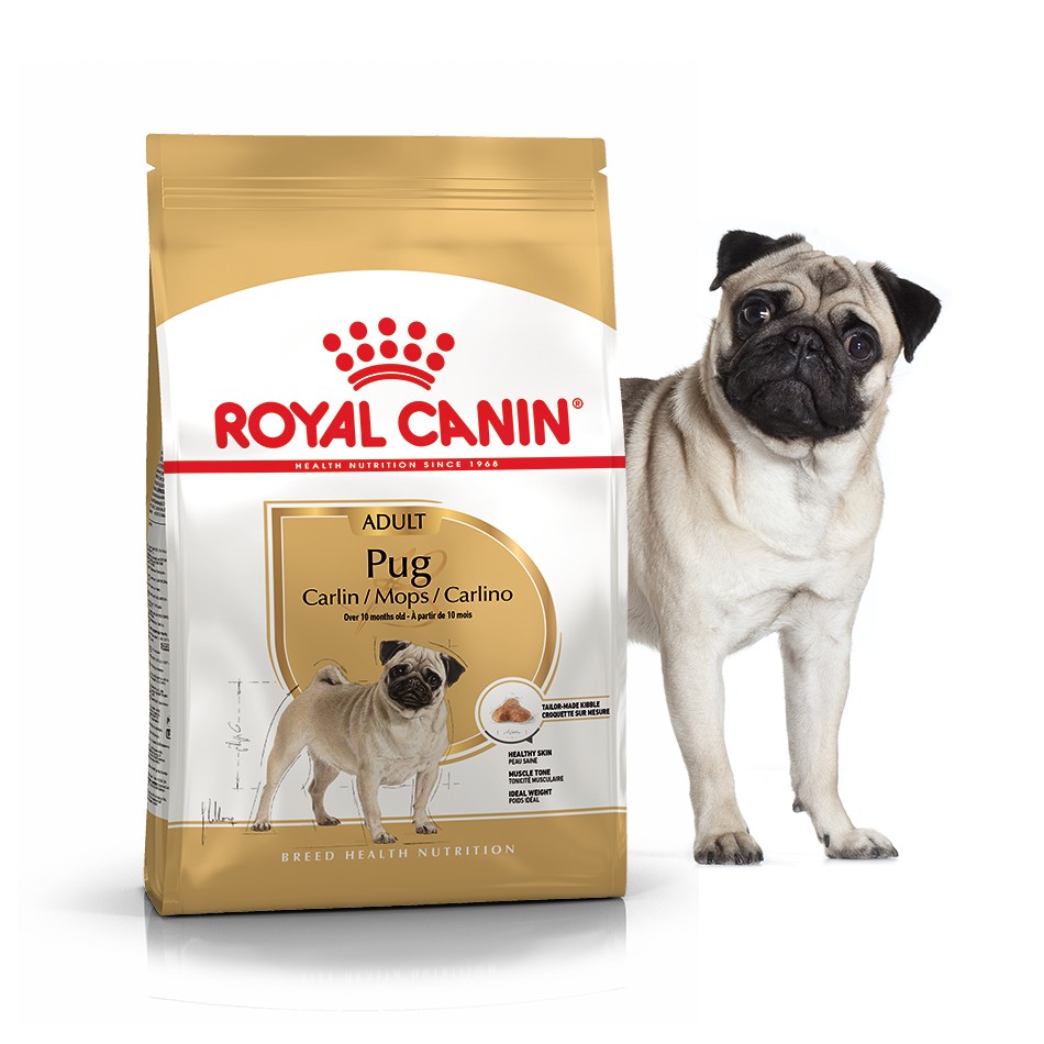 ROYAL CANIN DOG FOOD FOR SKIN AND WOOL HEALTH.jpg 