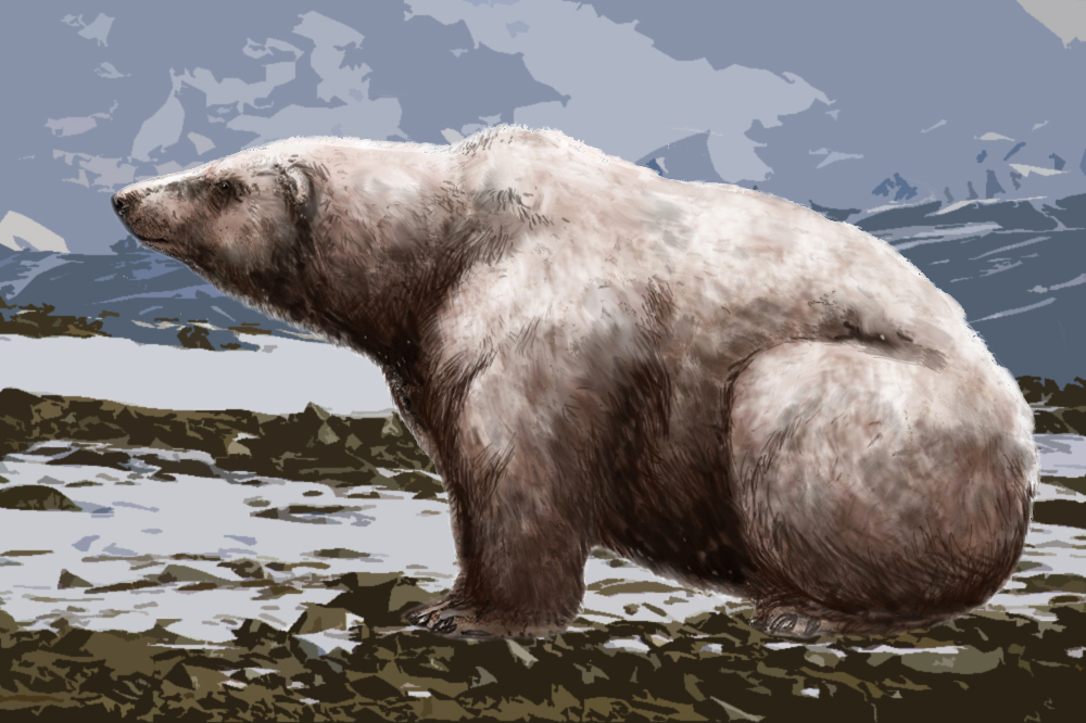 Giant polar bear 
