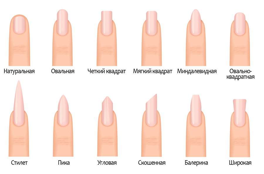 Nail shapes 