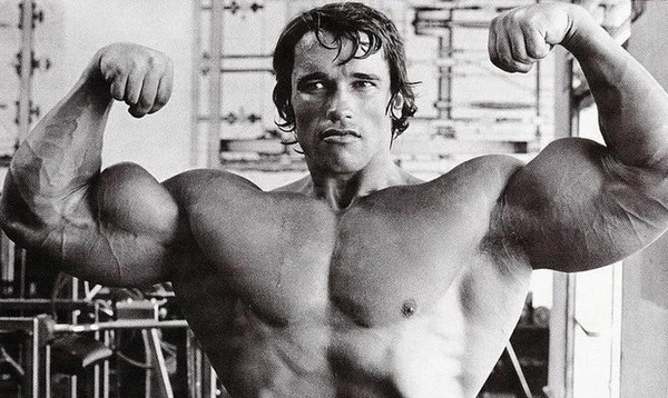 How to pump up your arms: theory, exercises for beginners and amateurs