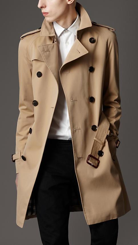 Trench Coat or Burberry Trench Coat 