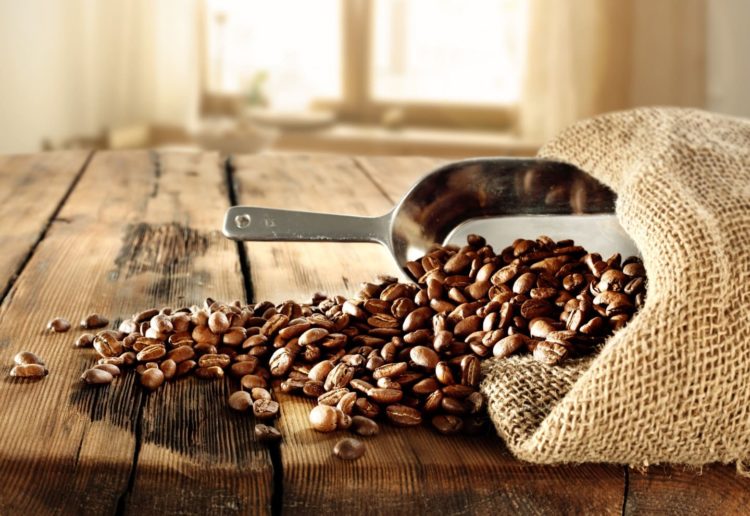 High-quality beans are the guarantee of delicious coffee.  Even the best baristas cannot do anything without them. 