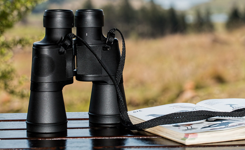How to choose binoculars 