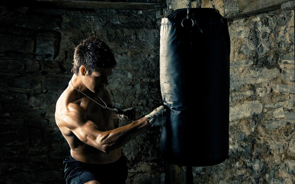 How to choose a punching bag 