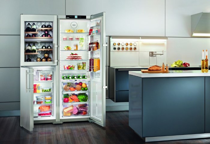 Two door refrigerators (side-by-side) 