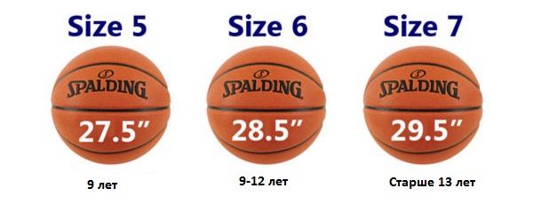 Basketball sizes 