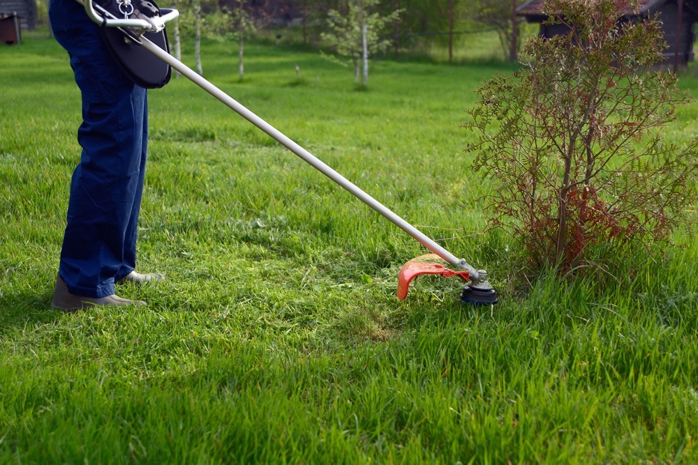 How to choose a grass trimmer 