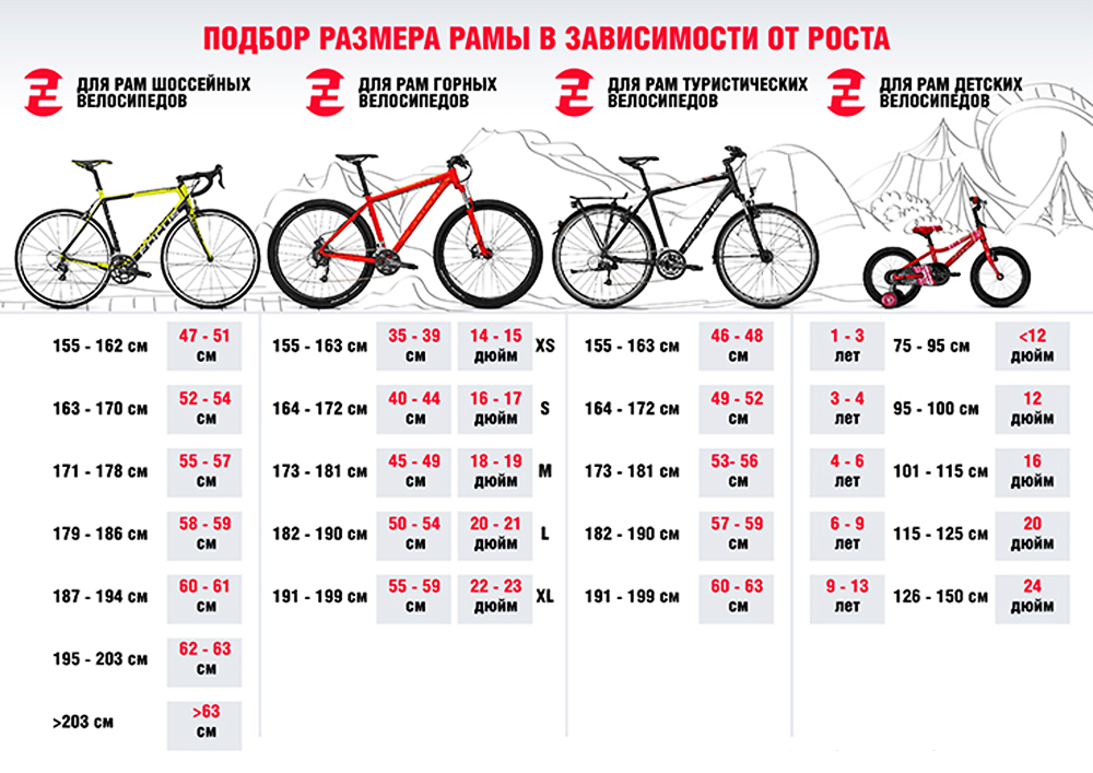 bike size chart 