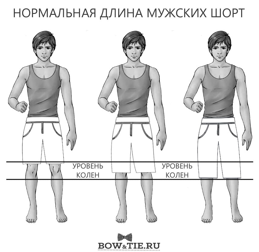 Men's Shorts - Normal Length 