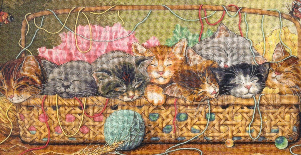 Embroidery kits Dimensions 