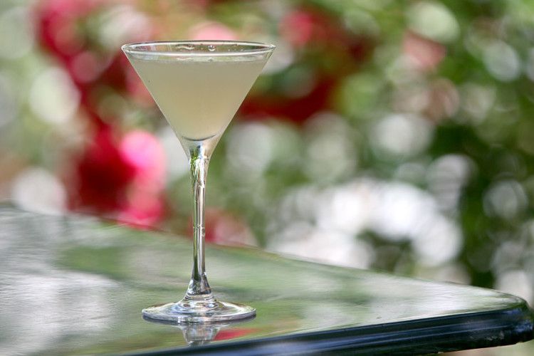 Daiquiri cocktail 