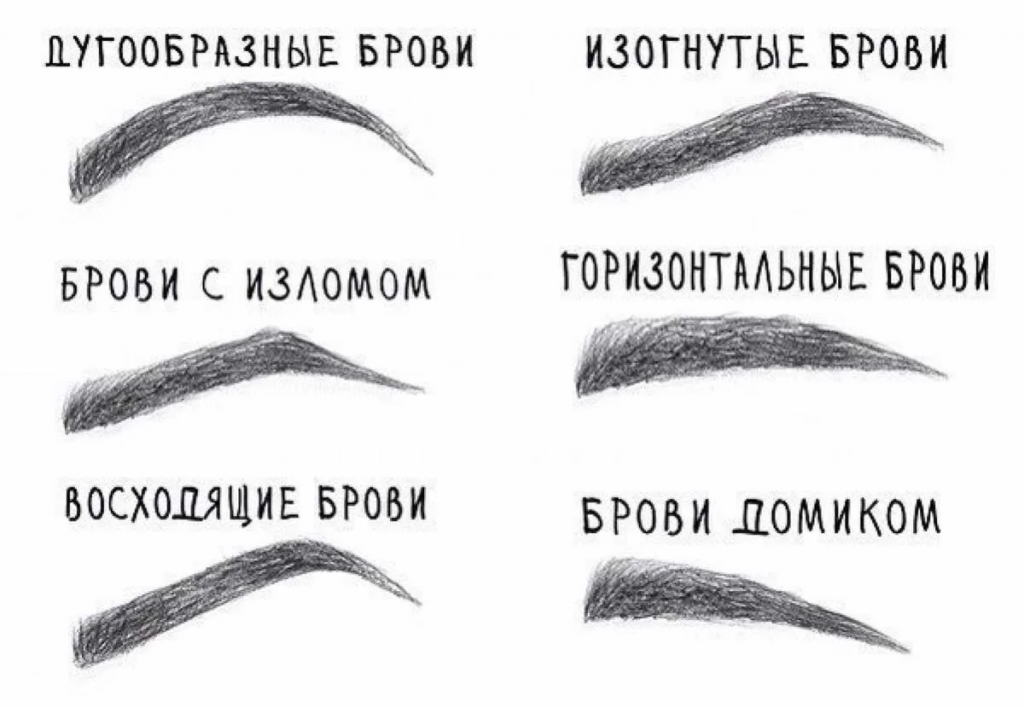 The most common types of brow arches 